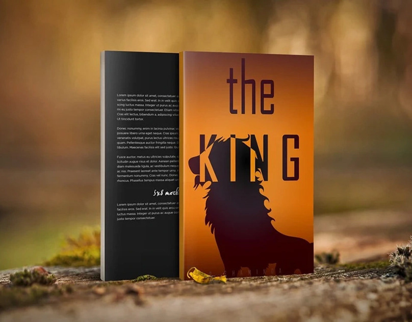 Book Cover Design - design by Md Alamin Ashif